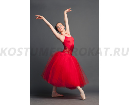 Шопенка (балерина) 41