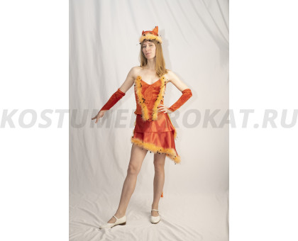 Кошка рыжая/ Лиса 13.01